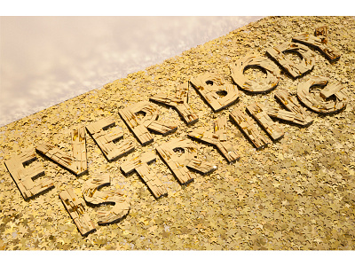 Everybody is trying Final gold lettering photography