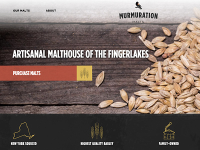 Murmuration Malts Web Hero css design html iconography interface php svg vector web design web development wordpress