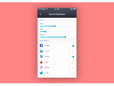 Daily UI challenge Day 7 Settings 007 dailyui settings