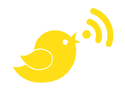 Noisybird Branding branding noisybird social