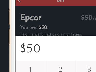Pay Bill screen bill ios number pad recurring