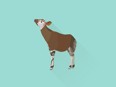 Okapi illustrator works