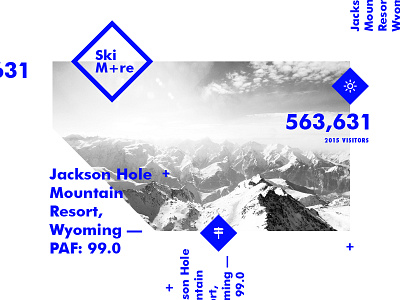 Ski M+re branding icons layout mountain ski type ui