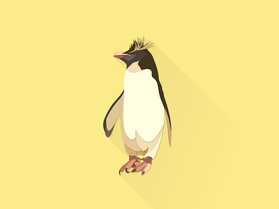 Rockhopper Penguin illustrator works