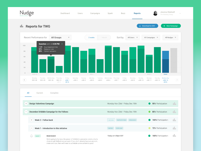 Nudge Rewards Reporting CMS