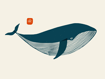 Whale illustration