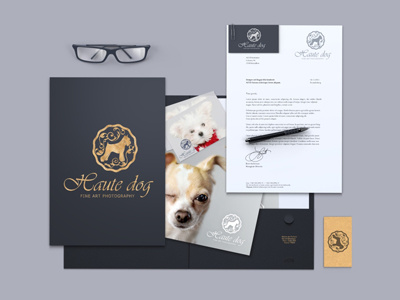 Brand Identity animals branding dog gold identity logo pet photography watermark