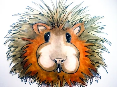 Guineasquig illustration marker pen mixed media pen and ink