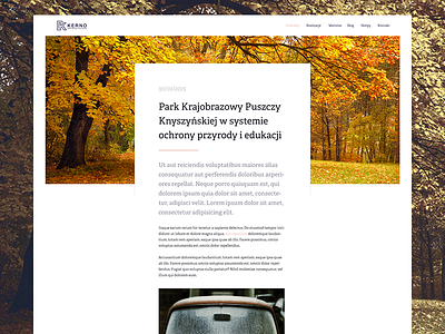 KERNO - post view blog branding typography web design website