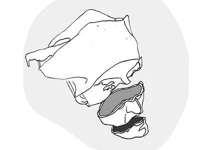 Nosferatuu body draw drawing face head movie noseferatu sliced vampire