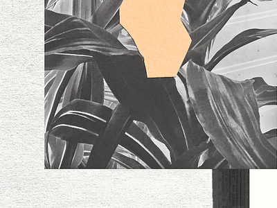 plant collage cut paper plants texture