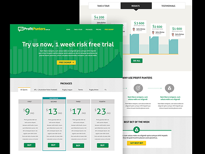 ProfitPunters.com design gambling horse horse racing landing page ride ui ux webdesign website