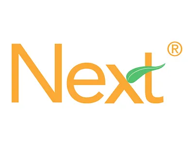 Next logo branding logo sans serif