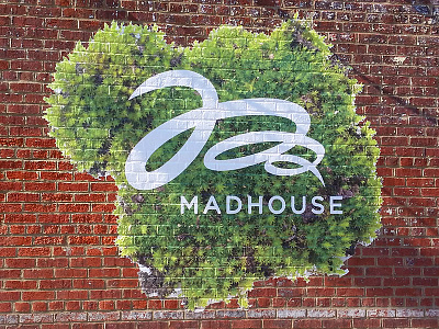 Madhouse Exterior Wall Signage branding environmental logo madhouse retail sign signage