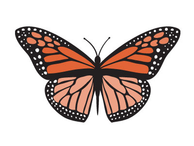 Monarch Butterfly butterfly graphic design illustration monarch orange