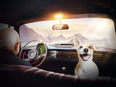 Dog in the car GIF logo no something