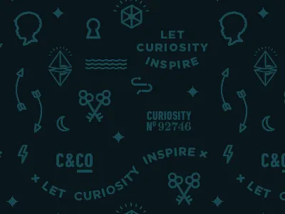 Curious & Co Pattern brand identity branding elements icons pattern