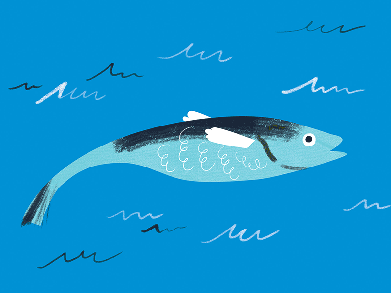 Live Fish Dead Fish environmental fish gif illustration