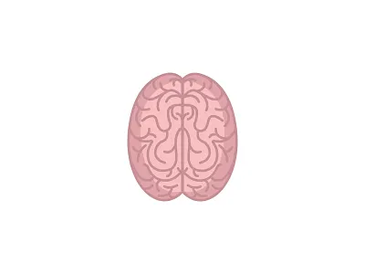 Brains! anatomy art brain illustration mm brand agency vector