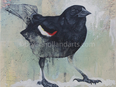 A Place To Stand animal bird collage map mixed media realism red winged blackbird