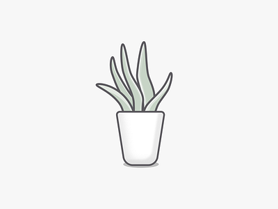 Snake Plant illustration minimal nature plant plants vector