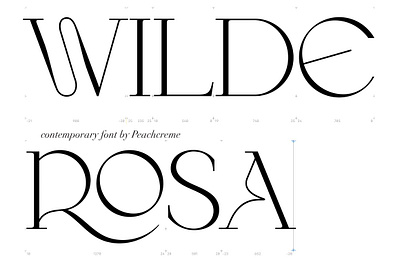 Wilde Rosa Contemporary & Chic Font classic classy classy font elegant font elegant serif font for logo logo logo serif lovely serif minimal font minimalist modern serif serif font serif typeface