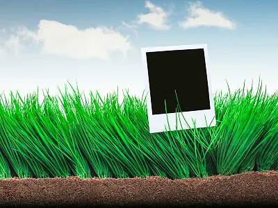 Photo in the grass - Studio work grass photo polaroid studio summer