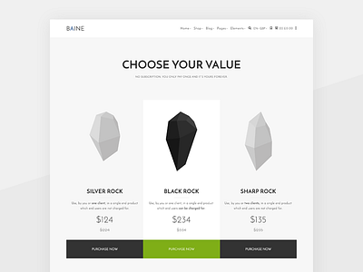 BAINE - Pricing Page Sneak design landing pricing theme ui ux wordpress