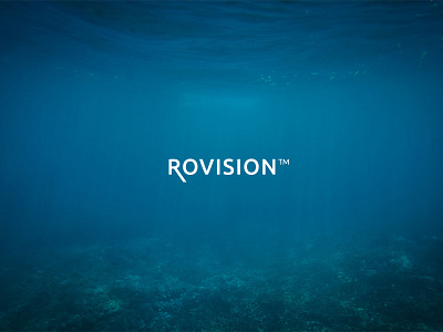 Rovision™ - Deepening Your Insight aquaculture logo rov underwater