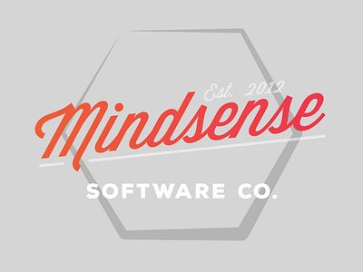 Just for fun: A Logo Variation color company logo software variation