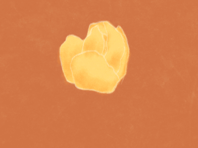 Blooming Flower animation bloom cel animation flower gif lotus