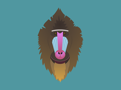Baboon! alphabet baboon illustration