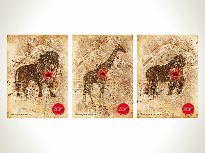 Print for Zoo Antwerpen artwork design graphicdesign graphicdesigner poster posterdesign posterdesigner print printdesign printdesigner visualdesign visualidentity