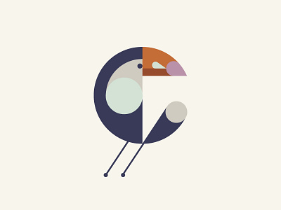 Toucan bird circle geometric illustration toucan tropical