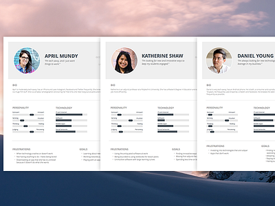 User Personas personas user research