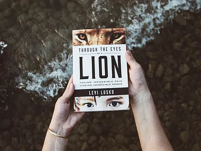 Through The Eyes of A Lion book art book cover book design