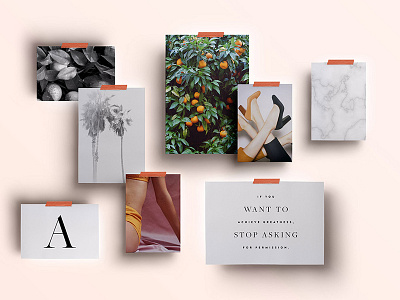 Brand Evolution inspiration