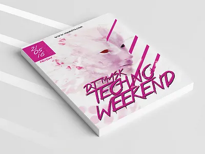 Techno Flyer Template creative design disco dj flyer girl glitch lines poster print techno template