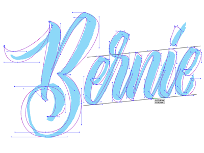 Bernie brush lettering sketch typography vector