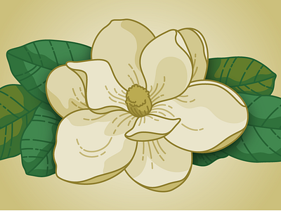 Magnolia digital illustration flower illustration magnolia vector