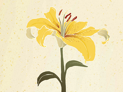 Second Words | Lily design illustration