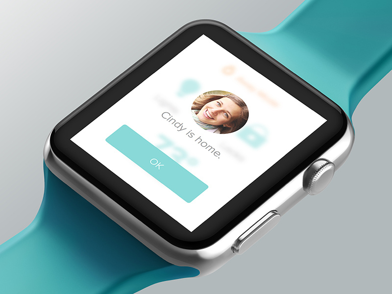 Example of Dwelo Watch Notification