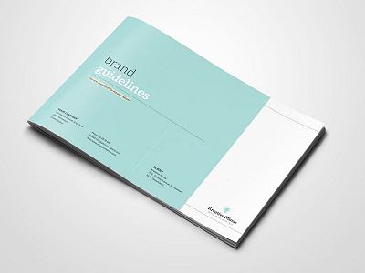 Brand Book brand book brand guidelines brand manual branding corporate identity design guidelines designer guide guidelines identity indesign template