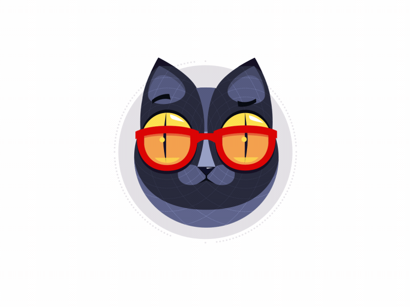 Cat 2d animation cat glasses motiongraphics splashes