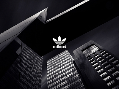 Adidas 2 adidas architecture color colour graphic sneaker