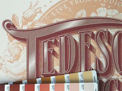 Preview. drawing flowers illustration lettering typography