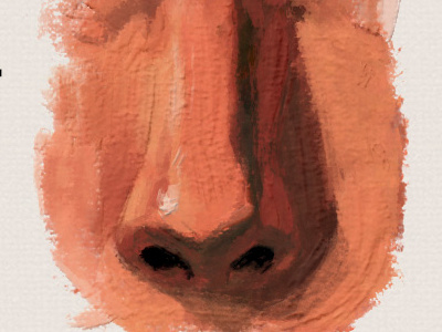 Impasto Nose brush brushes digital drawing illustration impasto photoshop