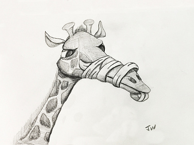 Giraffe Sketch animal character doodle giraffe pencil sketch