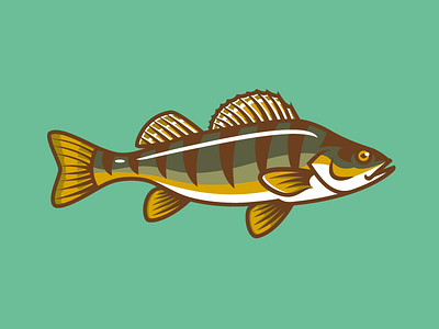 Perch fish perch wisconsin