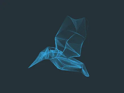 X Ray humming bird xray